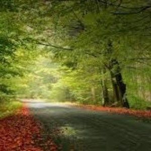 Meet your Posher, Fardosa